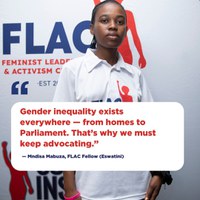 From Homes to Parliament: What I’ve Learned as a FLAC Fellow From Homes to Parliament: What I’ve Learned as a FLAC Fellow