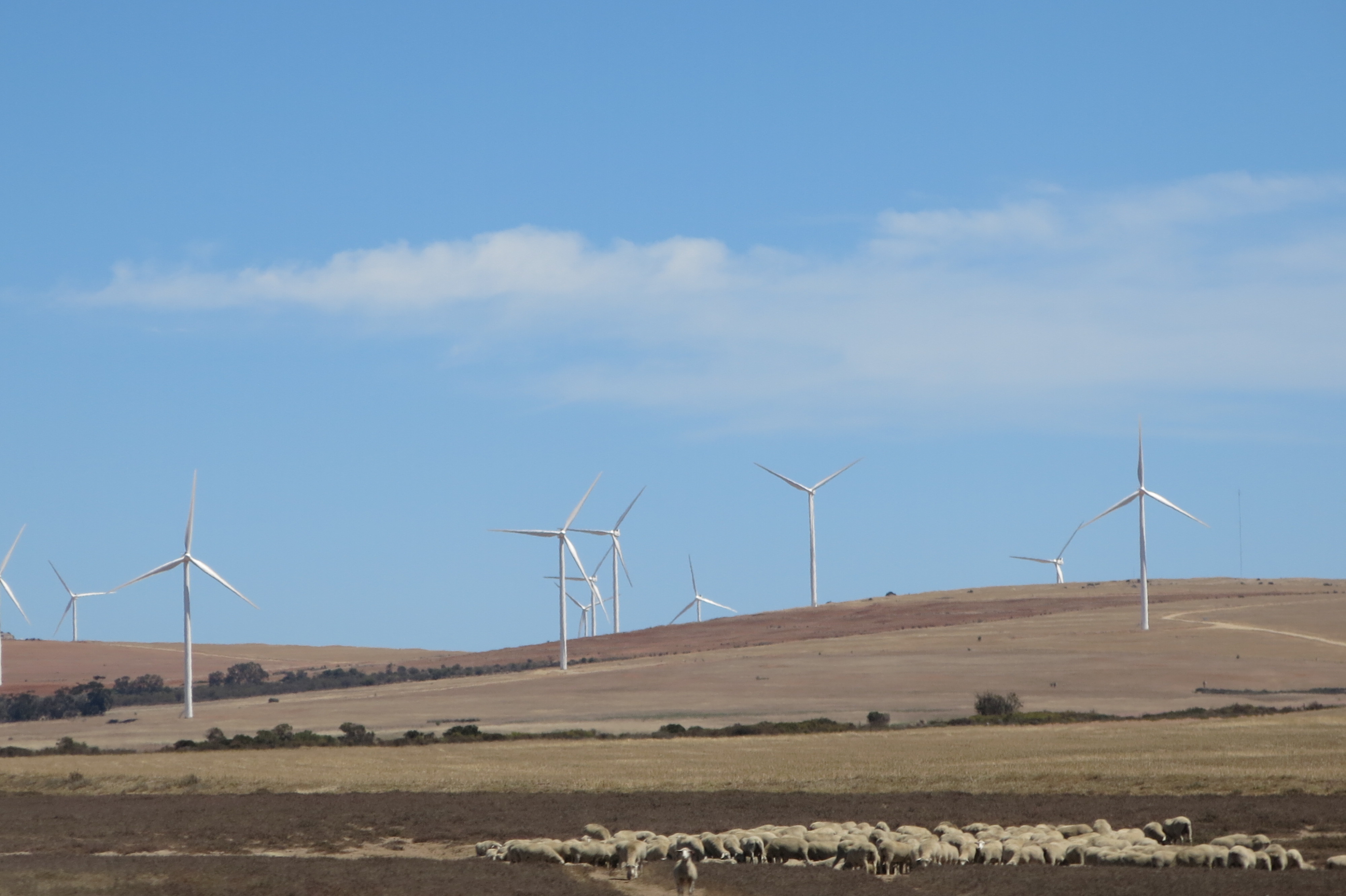 2015 11 27 West Coast  wind farm
