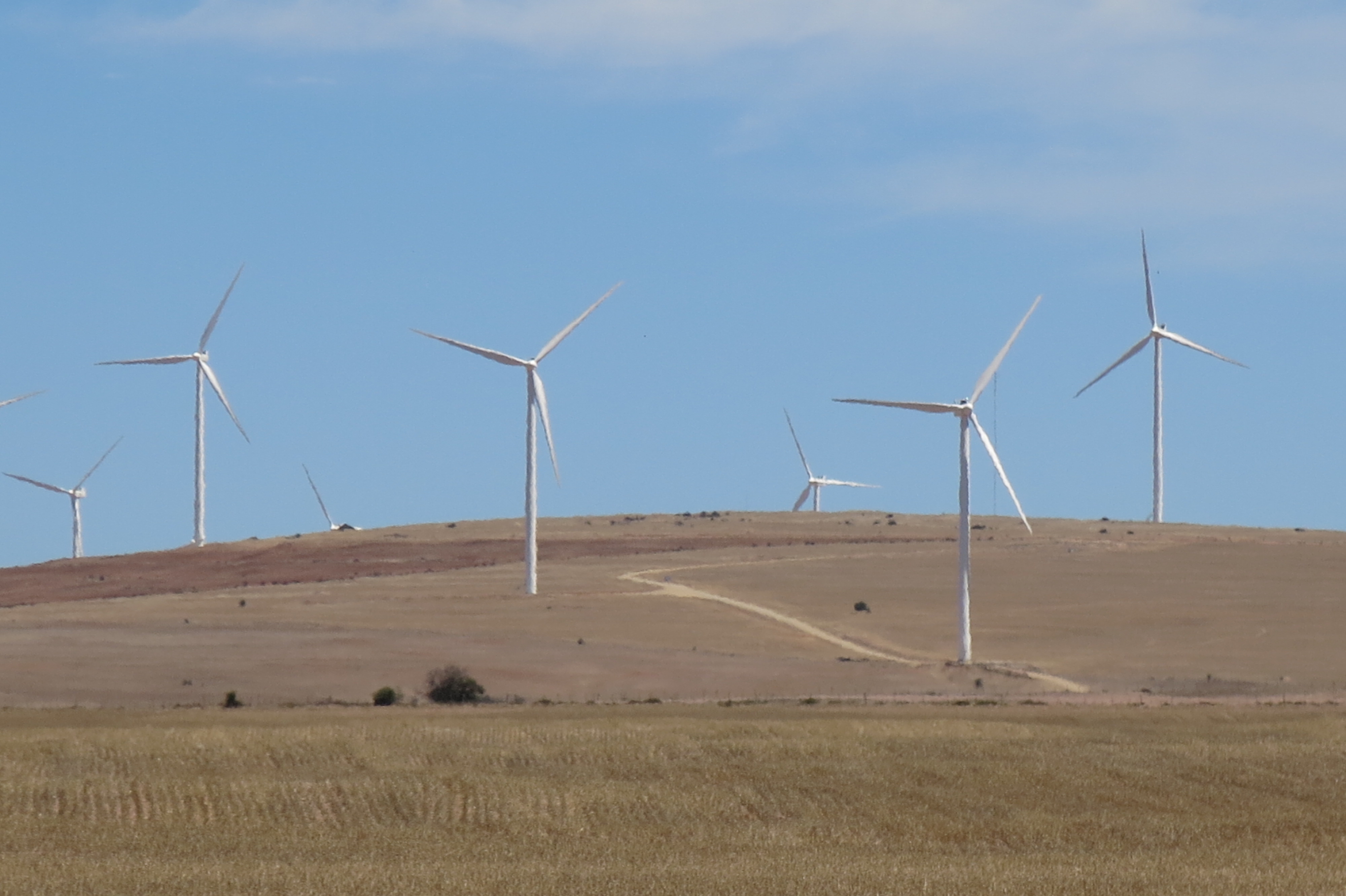 West Coast wind farm 2015 11 27 10