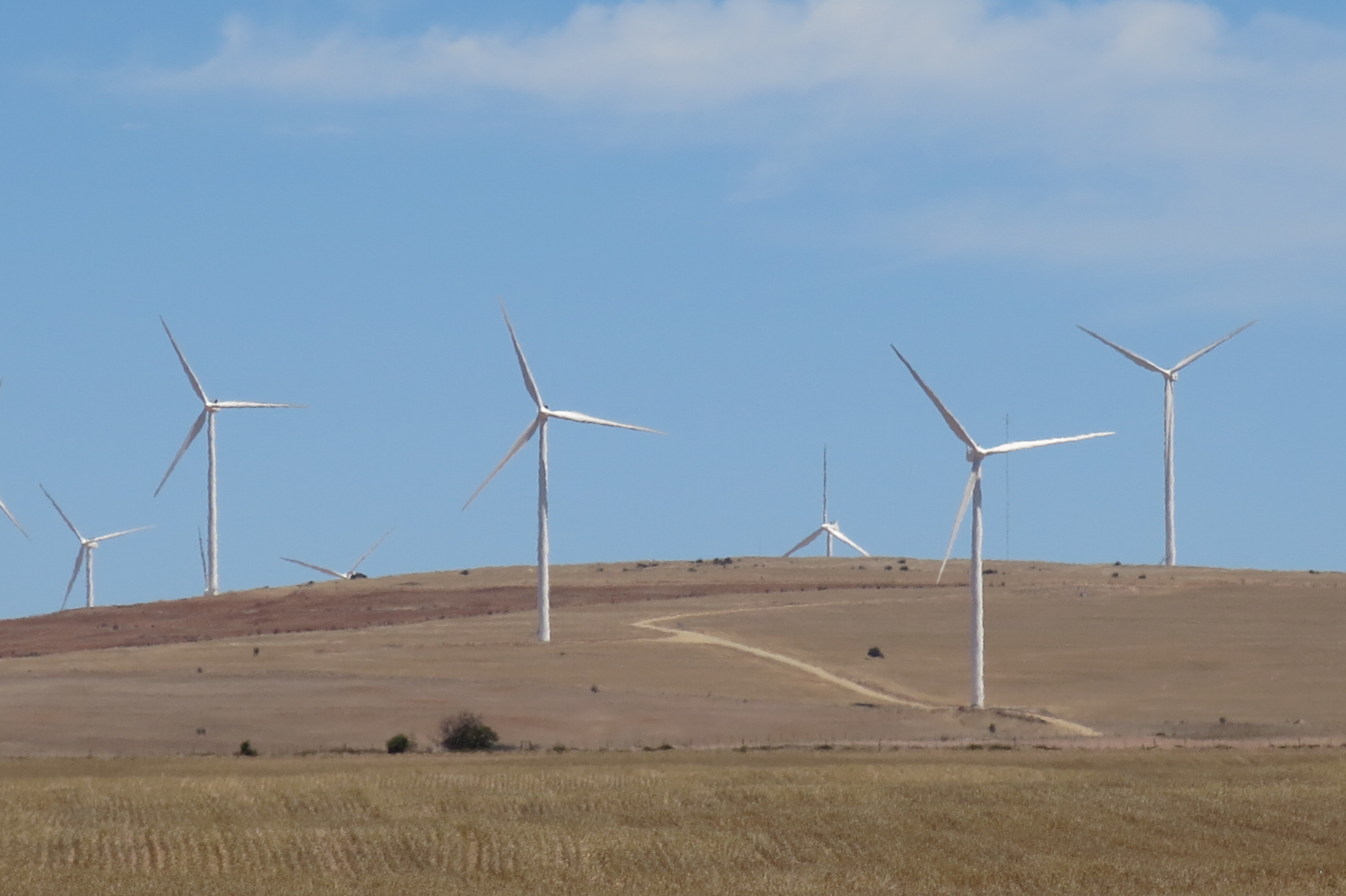 West Coast wind farm 2015 11 27 10