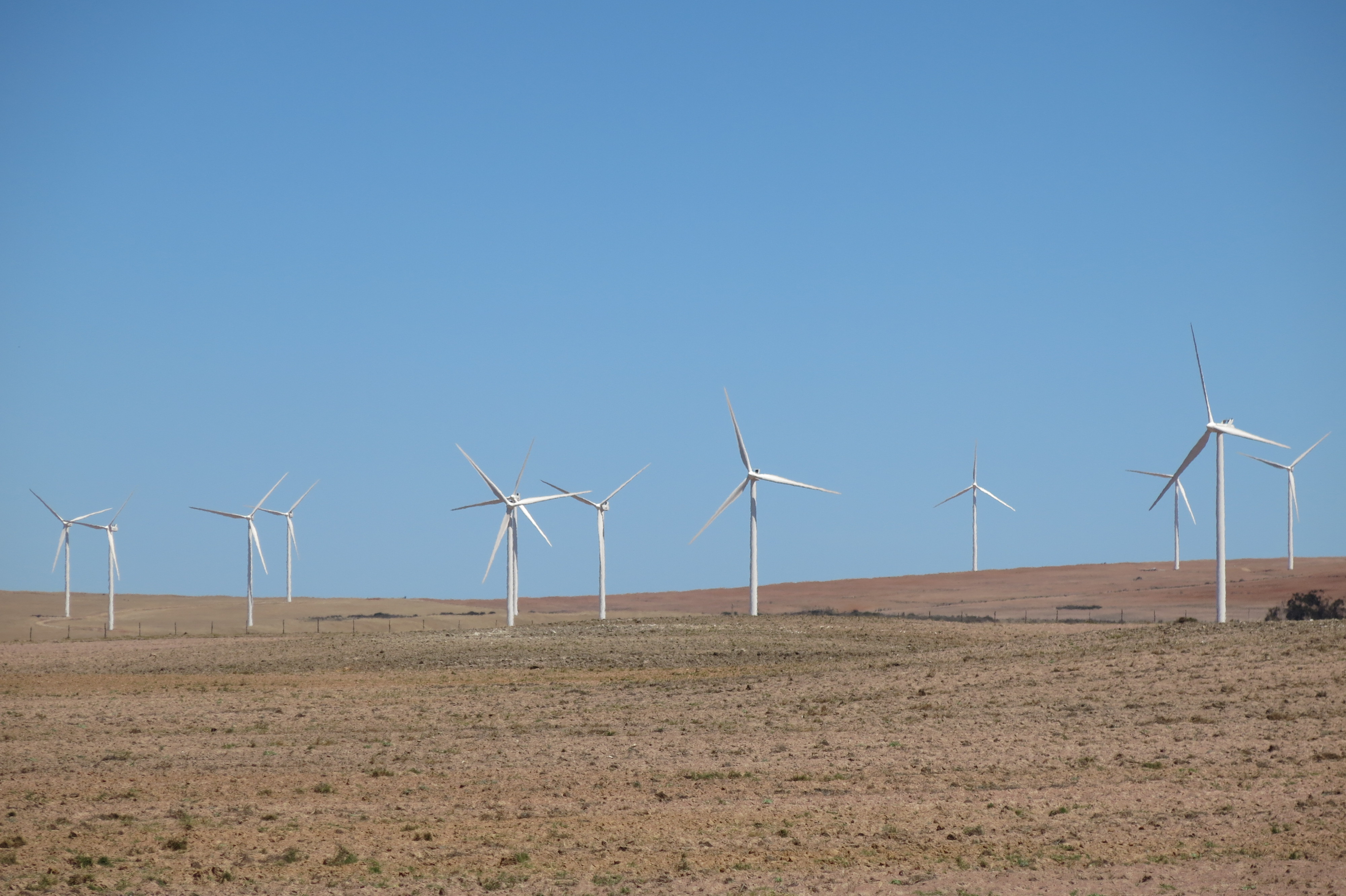 West Coast wind farm 2015 11 27