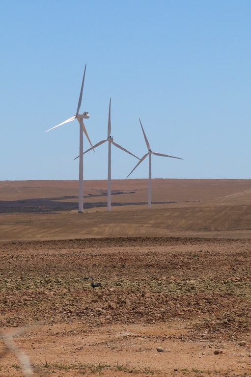 Wind farm (1)