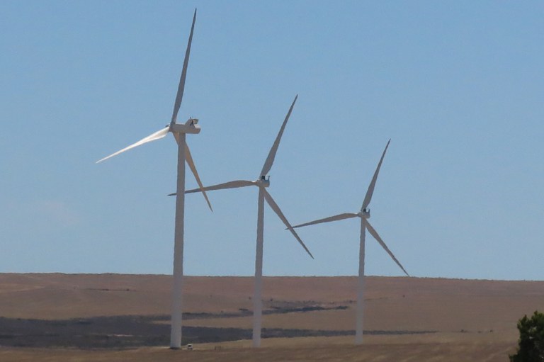 Wind farm (3)