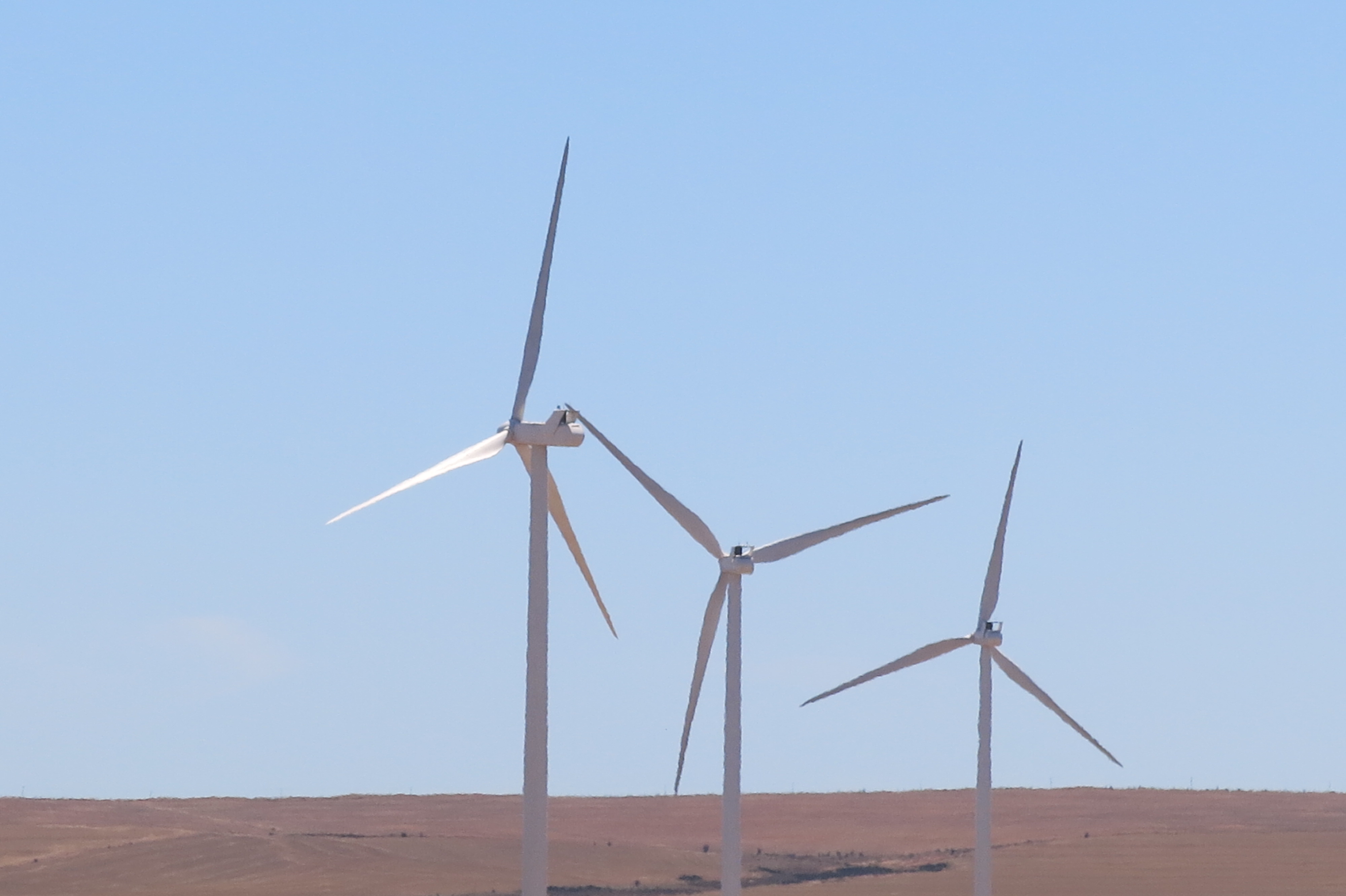 Wind farm (4)