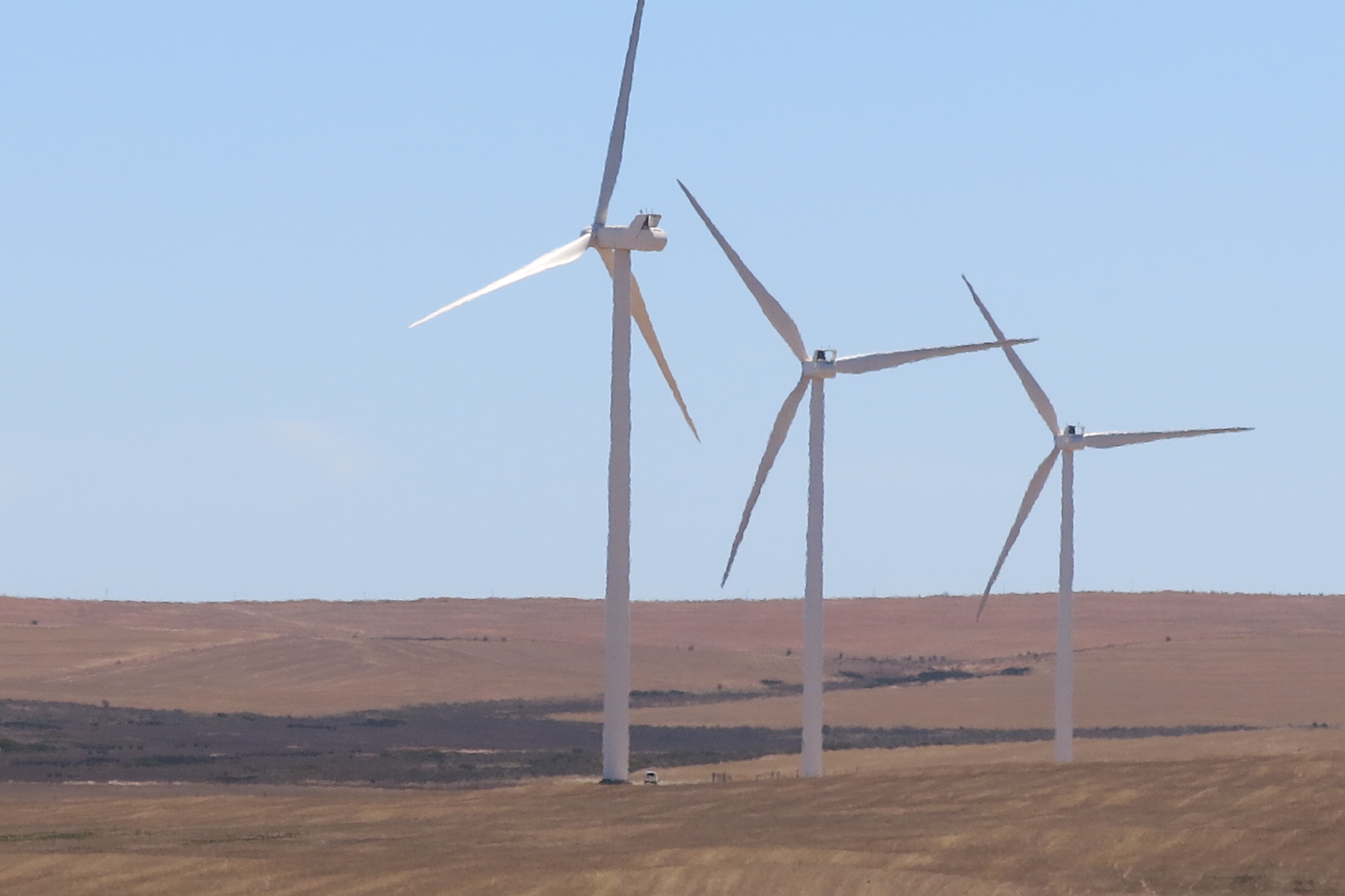 Wind farm (5)