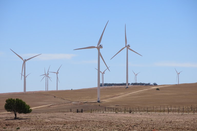 Wind farm