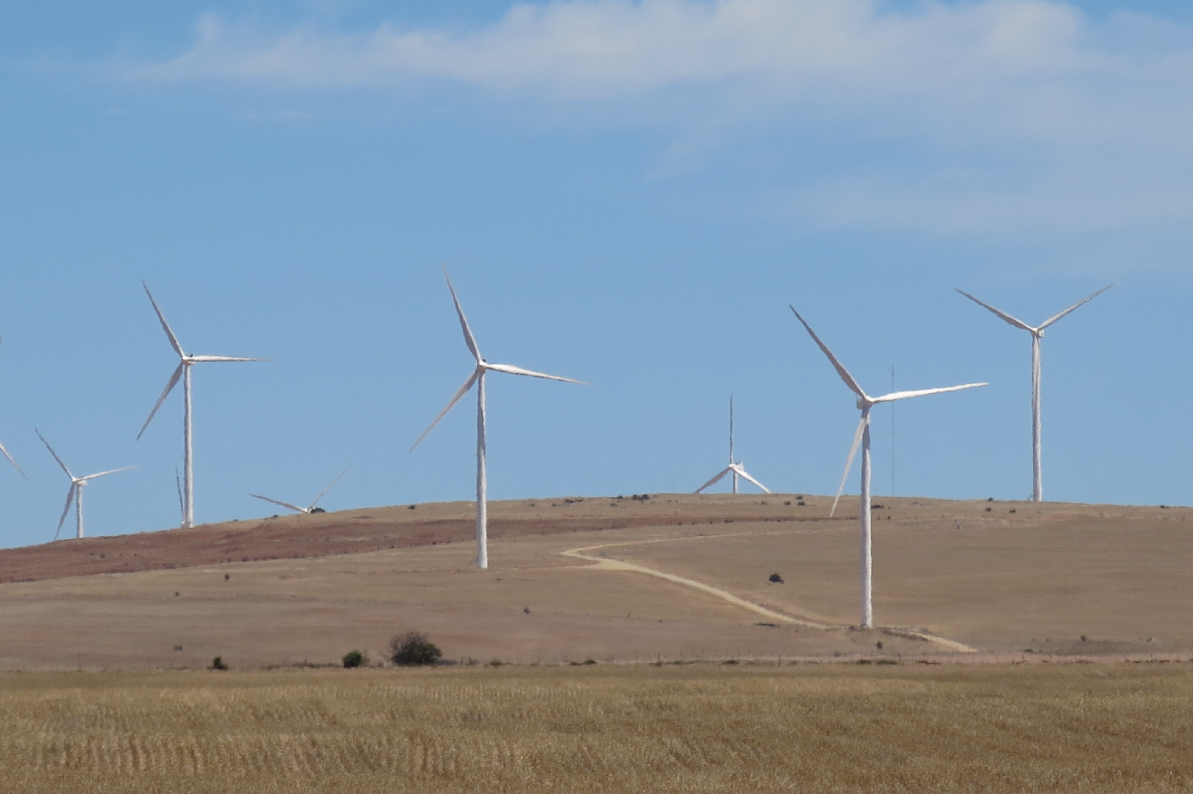 West Coast wind farm 2015 11 27 10